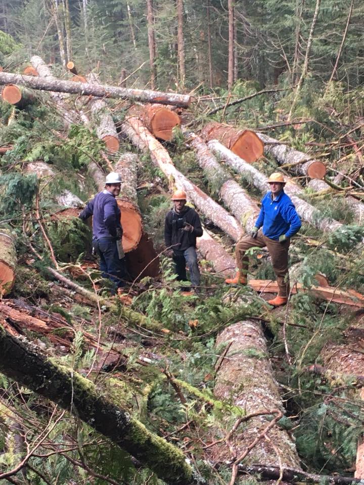 About Wayne Stone Logging - Washington and Oregon